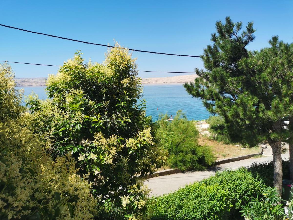 Beachfront House Ivana With Pool - Renovated 2025 Чезарица Экстерьер фото